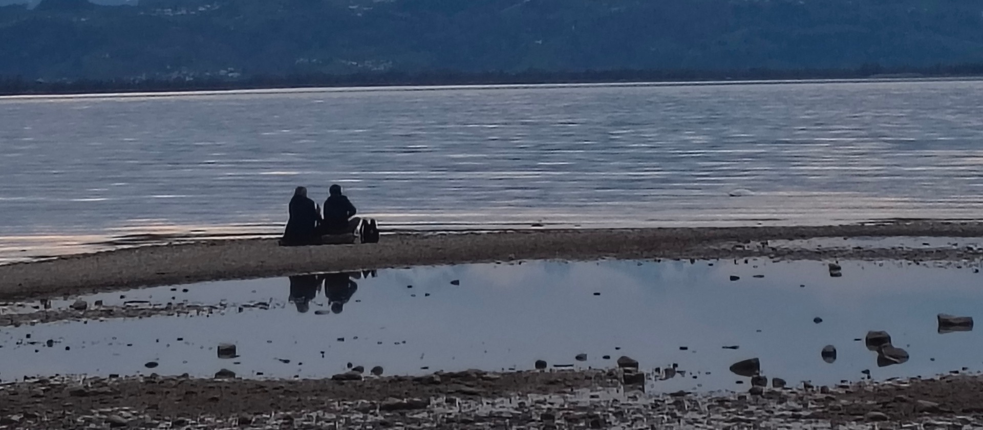 Czucie i współ-czucie